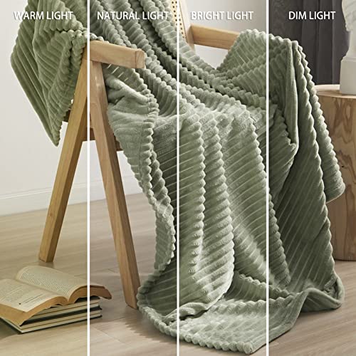 Sage Green Lightweight Plush Throw Blanket 50x60