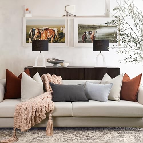 Beige Chenille 18x18 Pillow Covers Set of 2