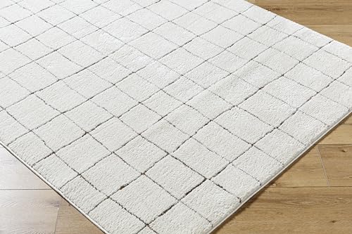 Surya x Unser PNW Home Ivory Minimalist Rug 1.5m x 2.1m