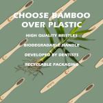 12 Pack Bamboo Charcoal Toothbrushes – Eco-Friendly