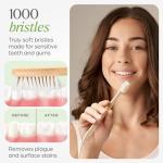 VIVAGO Eco-Friendly Bamboo Toothbrushes 10 Pack