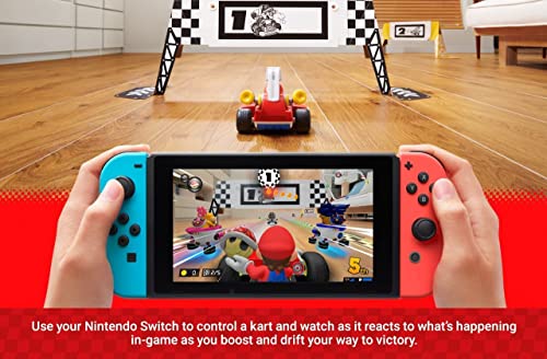 Mario Kart Live: Home Circuit with Luigi