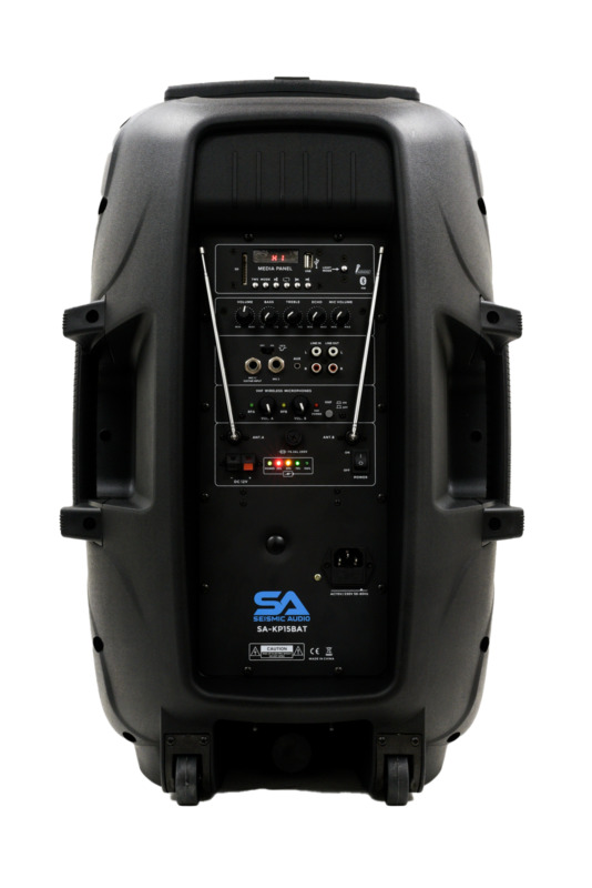 Bluetooth Karaoke Speaker Set with LED Lights