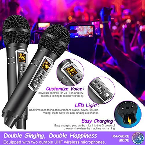 Portable Bluetooth Karaoke Machine with 2 Microphones