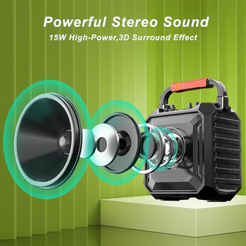 Portable Karaoke Machine with Two Wireless Mics