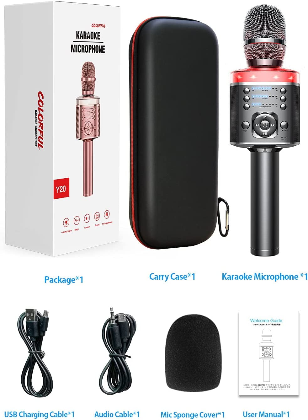 Wireless Karaoke Microphone with Voice Changer
