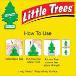 Little Trees Black Ice Car Freshener 10-Pack