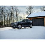 Cooper Evolution Winter 225/65R17 Tire