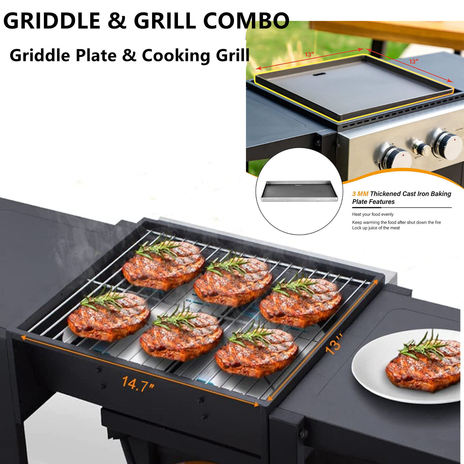 2 Burner Flat Top Griddle BBQ Grill