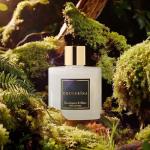 Eucalyptus & Moss Luxury Reed Diffuser Set