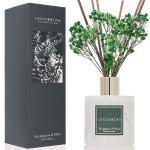 Eucalyptus & Moss Luxury Reed Diffuser Set