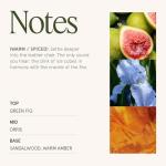 Amber Sandalwood Wood Wick Candle in Blue