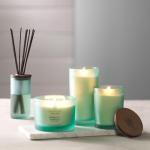 Chesapeake Bay Balance + Harmony Scented Candle