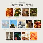 Teak Aroma Wood Air Freshener - Odor Eliminator