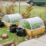 Quibbay 8-Pack UV Protected Polycarbonate Panels