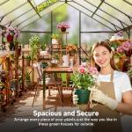 6x8 FT Polycarbonate Greenhouse with Vented Roof