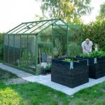 Vingli 6x10FT Heavy Duty Polycarbonate Greenhouse