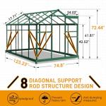 Vingli 6x10FT Heavy Duty Polycarbonate Greenhouse