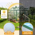 Vingli 6x10FT Heavy Duty Polycarbonate Greenhouse