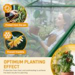 Vingli 6x10FT Heavy Duty Polycarbonate Greenhouse