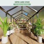 Takywep 6x10FT Heavy-Duty Outdoor Polycarbonate Greenhouse