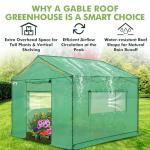 EAGLE PEAK 10x10 Pop-Up Greenhouse with Easy Setup