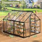 Polar Aurora 8x10 FT Outdoor Polycarbonate Greenhouse
