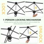 10x10FT Instant Walk-in Polycarbonate Greenhouse