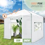Eagle Peak 10x10 Portable Pop-Up Greenhouse