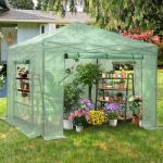 10x10FT Instant Walk-in Polycarbonate Greenhouse