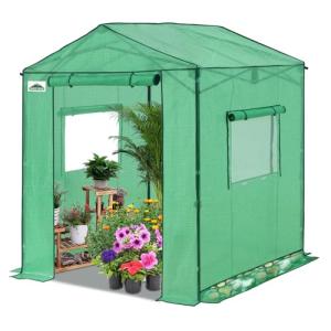 Eagle Peak 6x6 Portable Pop-Up Greenhouse