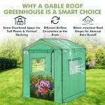 Eagle Peak 6x6 Portable Pop-Up Greenhouse