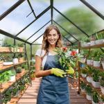 Polar Aurora 10x16 FT Polycarbonate Greenhouse