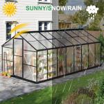 WKM 8x16 FT Polycarbonate Greenhouse with Vent