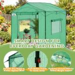 Eagle Peak 6x6 Portable Pop-Up Greenhouse