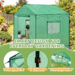 Eagle Peak 8x8 Portable Walk-In Greenhouse