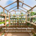 AirWire 6x8 FT Wooden Walk-in Greenhouse