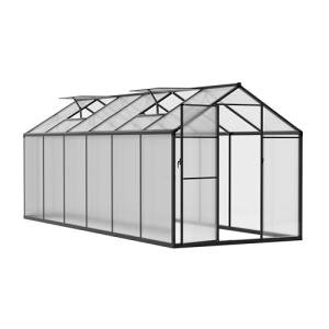 BlueWish 6x12FT Heavy Duty Polycarbonate Greenhouse