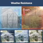 12 Pack 4' x 2' Twin-Wall Greenhouse Panels