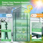 Ohuhu Mini Greenhouse for Indoor Outdoor Plants