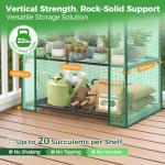 Ohuhu Mini Greenhouse for Indoor Outdoor Plants