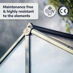Palram Canopia Glory 8x8 Ft. Greenhouse Kit