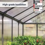 Palram Canopia Glory 8x8 Ft. Greenhouse Kit