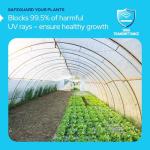 KastLite 8mm Twin Wall Polycarbonate Greenhouse Panels