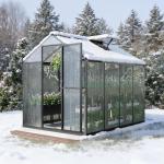 Aoodor 6x8 Ft Walk-in Polycarbonate Greenhouse