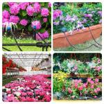 Bonviee 230FT Automatic Drip Irrigation Kit