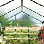 6x8 FT Easy Assembly Polycarbonate Greenhouse