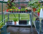 Palram Canopia Steel Greenhouse Work Bench