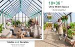 CDCASA 10x36 FT Outdoor Polycarbonate Greenhouse