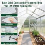 6-Pack Polycarbonate Greenhouse Panels, UV Protected